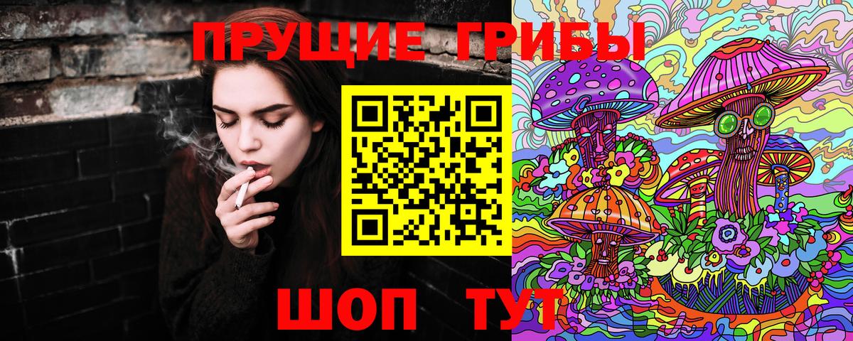 Кондопога  Галлюциногенные грибы Cubensis  Вход с VPN 