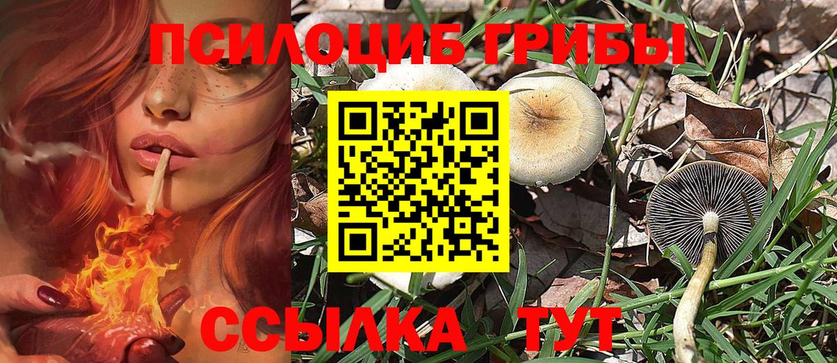 Псилоцибиновые грибы мухоморы Кондопога